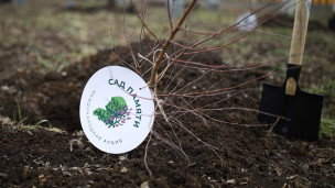 Акция «Сад памяти»