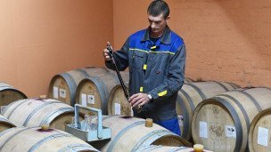 Сотрудник винодельни проверяет качество продукции 