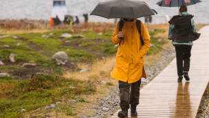 Туристы на острове 