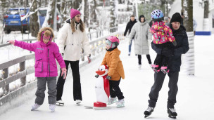 горожане на катке