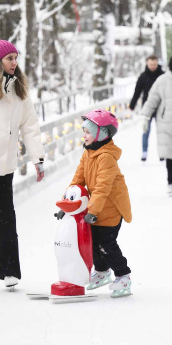 горожане на катке