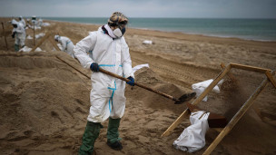 Волонтеры ликвидирует последствия разлива мазута 