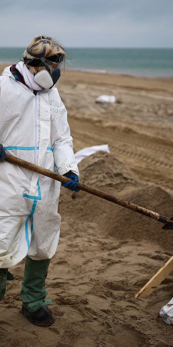 Волонтеры ликвидирует последствия разлива мазута 