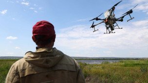 Агрономы засеивают поля рисом при помощи дронов