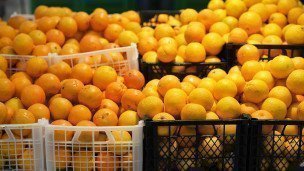 Прилавок с мандаринами