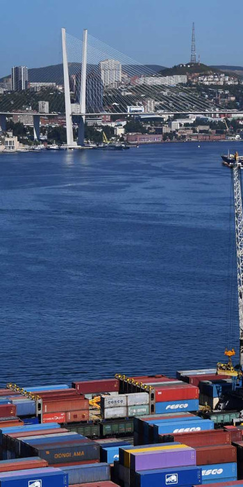 Контейнерный терминал Владивостокского морского торгового порта
