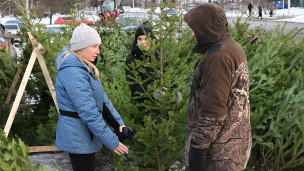 Покупательница выбирает пихту на новогоднем ёлочном базаре