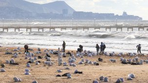 Уборка мазута на Кубани