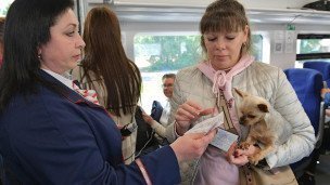 Контролер проверяет билеты у пассажирки электрички с собачкой на руках