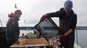 Рыбаки во время ловли барабульки в Черном море