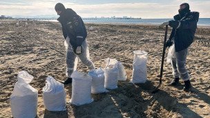Уборка пляжей в Анапе после разлива мазута в Черном море