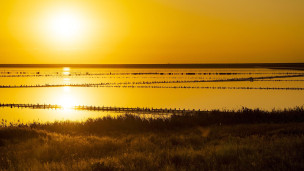 Геническое озеро в Херсонской области
