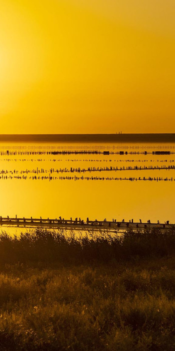 Геническое озеро в Херсонской области