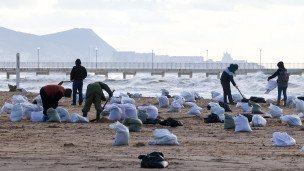 Волонтеры на пляже во время сбора мазута 
