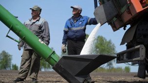 Засыпка удобрений в бункер комбайна во время посева зерновой смеси на поле