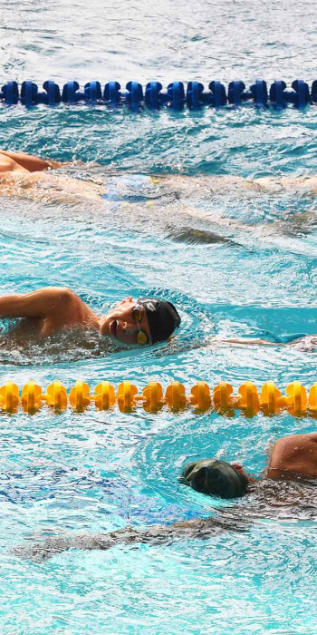 пловцы в бассейне