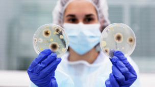 Сотрудница микробиологической лаборатории