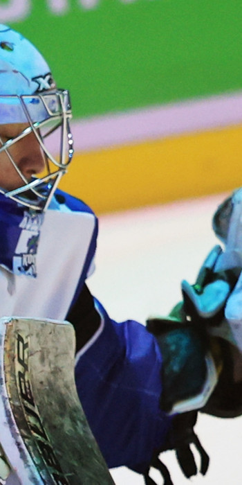 Вратарь  фиджитал-хоккея 