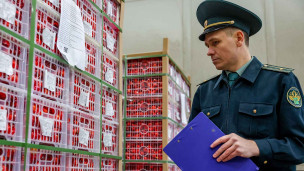 Сотрудник таможенной службы