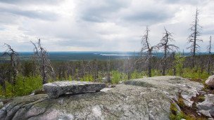 Гора Воттоваара в Карелии
