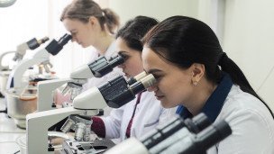 Лаборанты в лаборатории 
