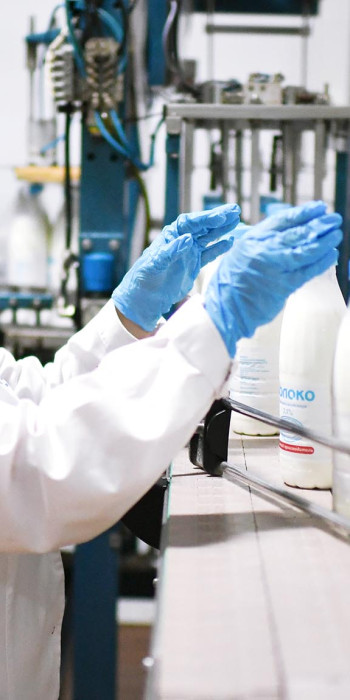 Производство молока на молокозаводе