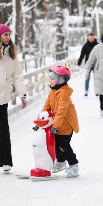 Семья с детьми на катке