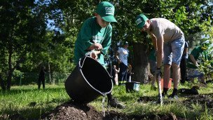 школьник высаживает и поливает деревья на уроке по экологии