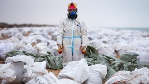 Волонтер во время уборки разлитого мазута 