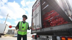Сотрудник мобильной таможенной группы досматривает грузовой автомобиль 