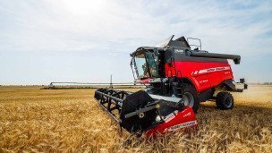 Уборка зерновых в Херсонской области