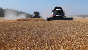 Уборка урожая 