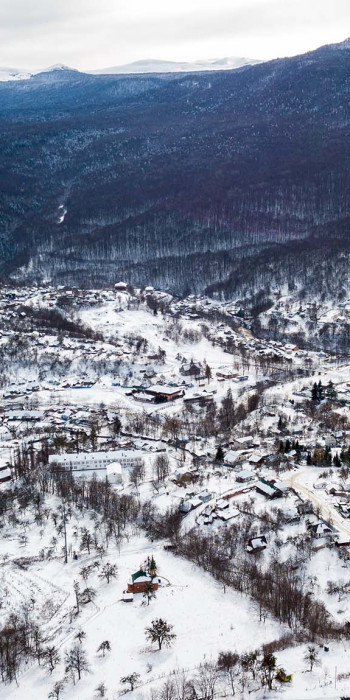 Вид сверху на лес 