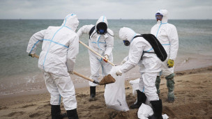 волонтеры собирают мазут на пляже