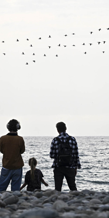 отдыхающие на берегу моря