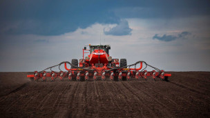 Сев кукурузы