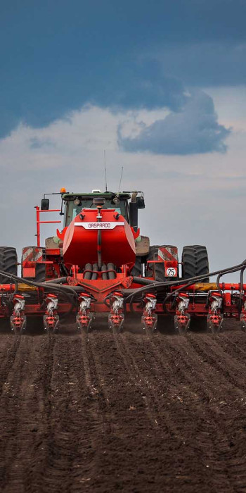 Сев кукурузы