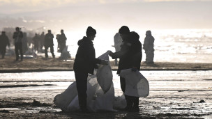Волонтеры собирают мазут на берегу