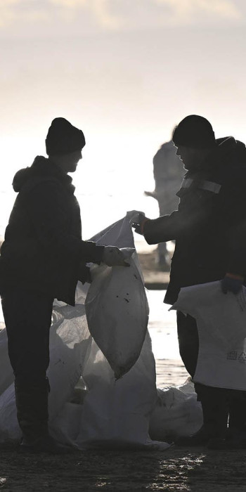 Волонтеры собирают мазут на берегу