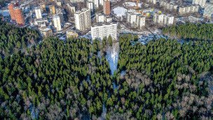 Вид на лес и новостройки