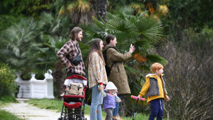многодетная семья на прогулке в сочинском парке