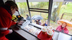 Жители деревни покупают продукты в автолавке