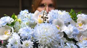 Продажа цветов