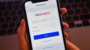 Приложение Госуслуги в телефоне