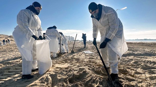 Уборка пляжей в Анапе после разлива мазута в Черном море