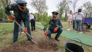 Участники во время посадки деревьев в память о погибших защитниках Отечества в рамках акции "Сад памяти"