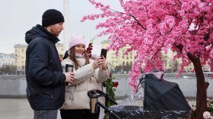 Пара в парке с телефоном и коляской
