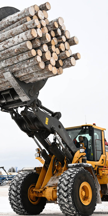 Погрузчик перевозит древесину 