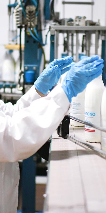 Производство молока на молокозаводе