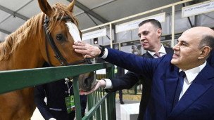 Михаил Мишустин на агровыставке